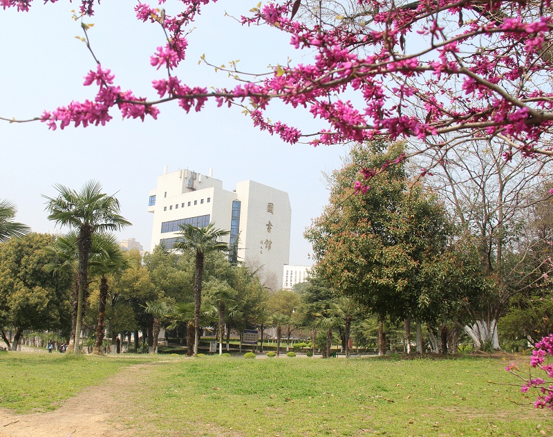 【醉美校园】春天里的师大-安徽师范大学